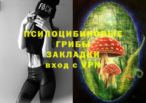 тгк Алзамай