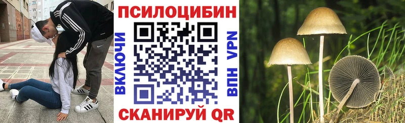 Псилоцибиновые грибы мицелий  Приморск 